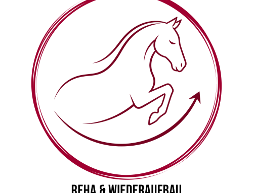 Reha & Wiederaufbau