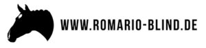 Romario Logo